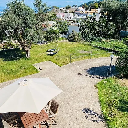 Grazioso Monolocale Nella Nolelu *